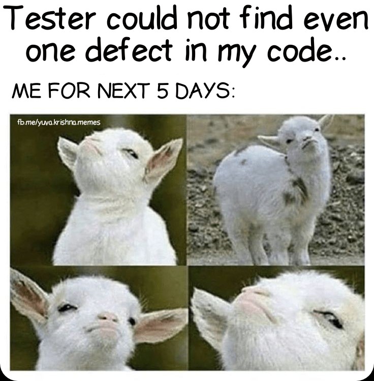 Developer's pride... | developer-memes, code-memes, test-memes, ide-memes | ProgrammerHumor.io