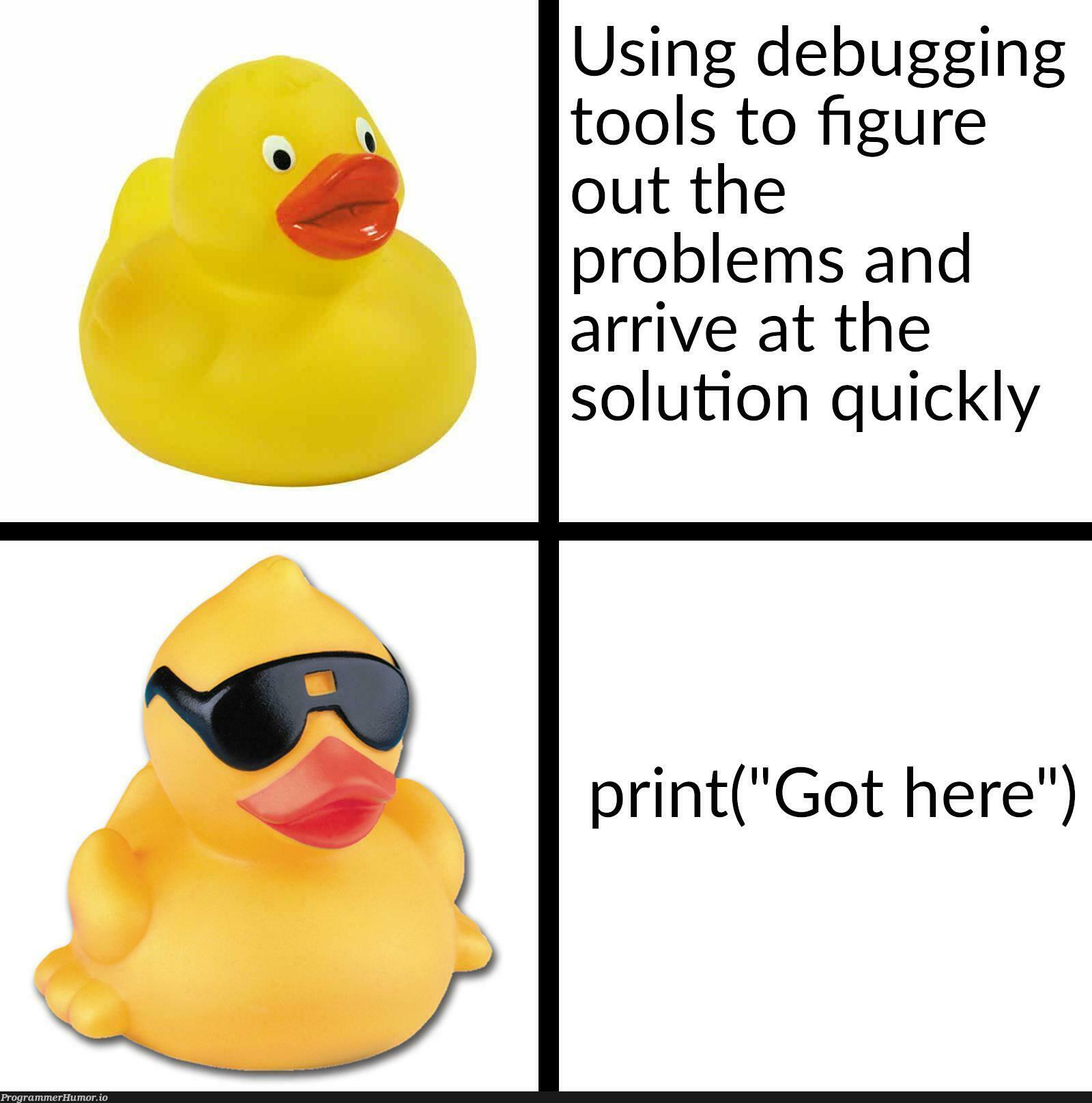 Duck, Duck, Debug | debugging-memes, bug-memes, debug-memes | ProgrammerHumor.io