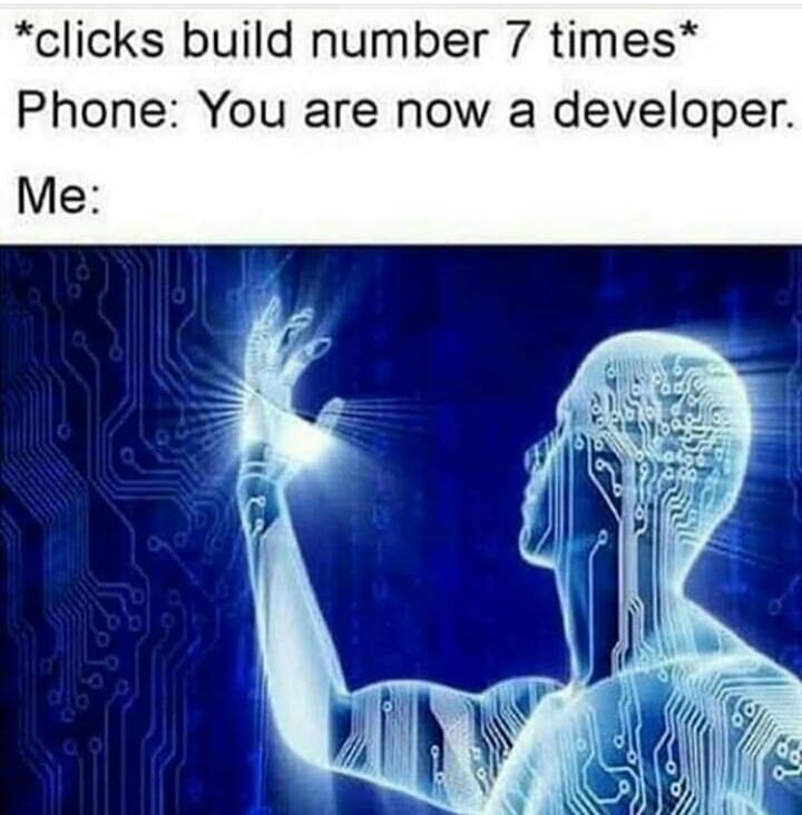 I am a developer lol | developer-memes, cli-memes | ProgrammerHumor.io