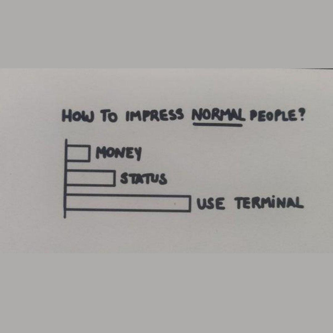 Terminal. | terminal-memes | ProgrammerHumor.io