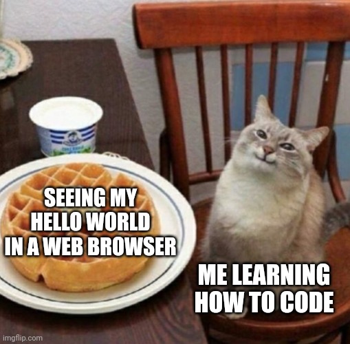 it's like discovering a whole new world | code-memes | ProgrammerHumor.io