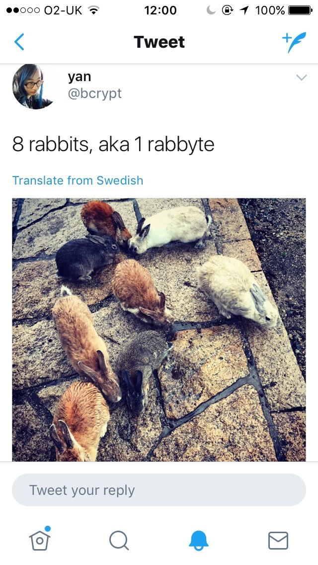 8 rabbits.. | ProgrammerHumor.io