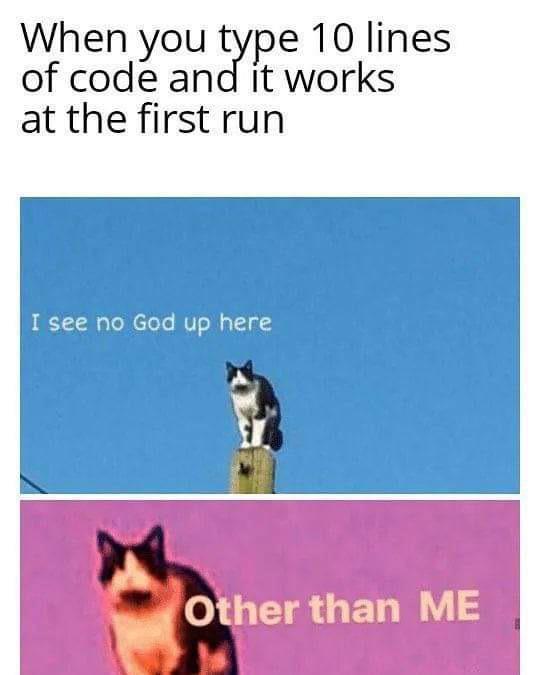 I am a programmer god | programmer-memes, code-memes, program-memes, lines of code-memes, IT-memes | ProgrammerHumor.io