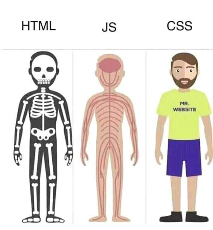 Dev Human | ProgrammerHumor.io