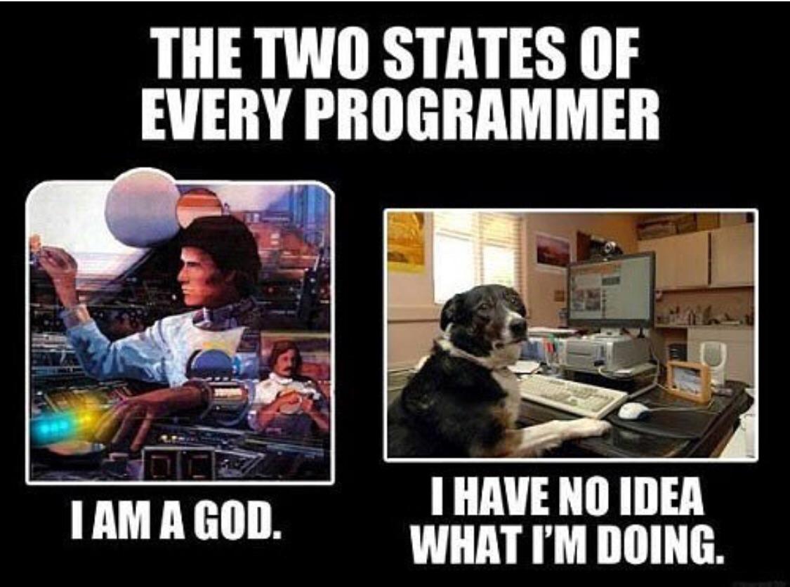 The two stages of a Programmer | programmer-memes, program-memes, ide-memes | ProgrammerHumor.io