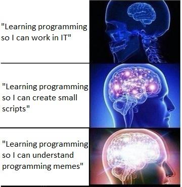 The real reason to learn programming. | programming-memes, program-memes | ProgrammerHumor.io