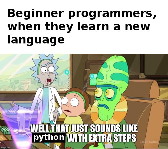 That was me | programmer-memes, program-memes, language-memes | ProgrammerHumor.io