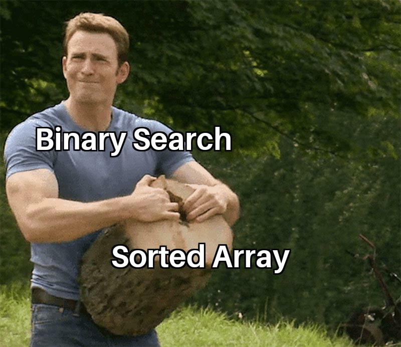 Binary Search | search-memes, binary-memes | ProgrammerHumor.io