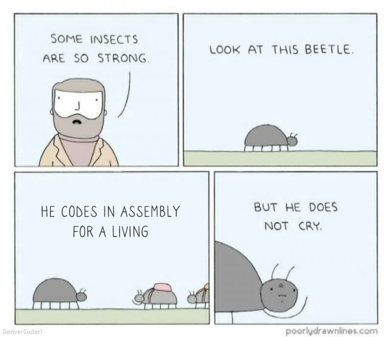 The strongest of all | code-memes, coder-memes, assembly-memes | ProgrammerHumor.io