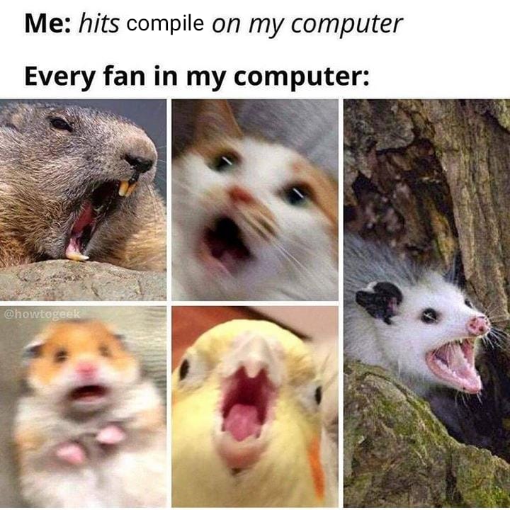 At least in my potato Pentium III, Fans go BRRRR | computer-memes | ProgrammerHumor.io