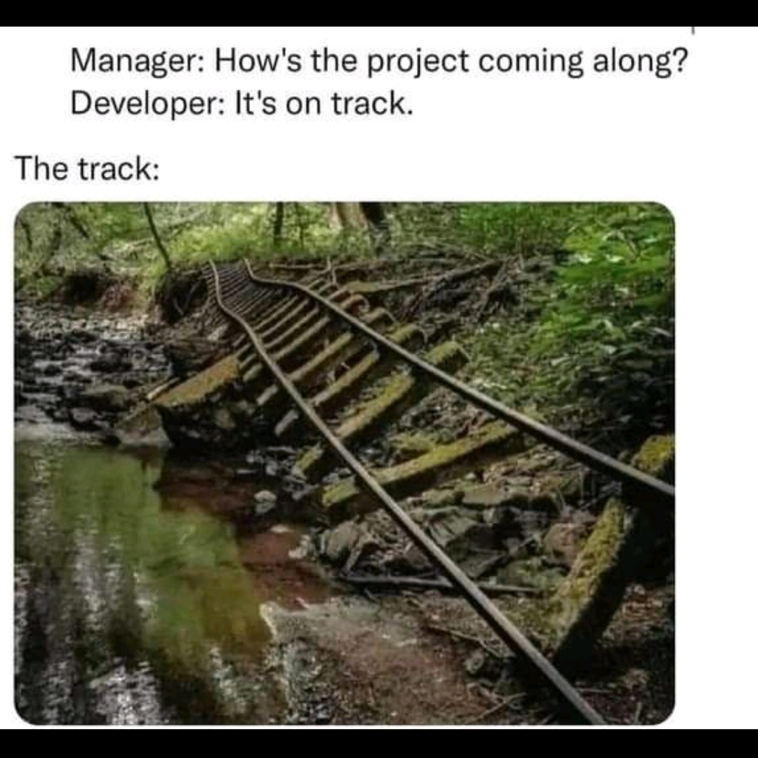 It's always on track | developer-memes, manager-memes | ProgrammerHumor.io