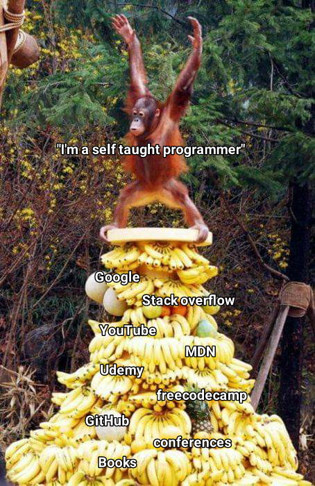 I'm a self taught programmer | programmer-memes, program-memes | ProgrammerHumor.io