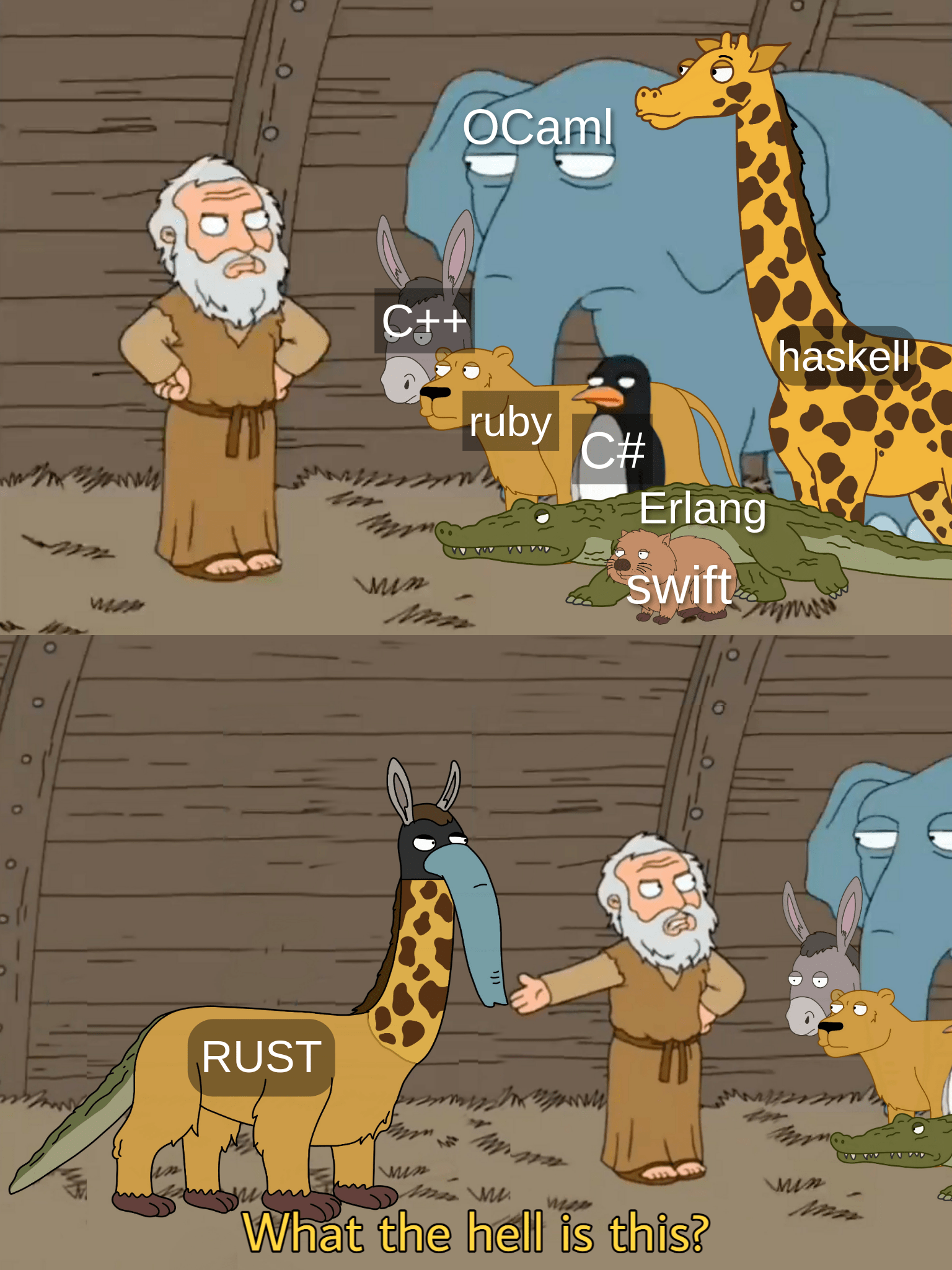 RUST | rust-memes | ProgrammerHumor.io