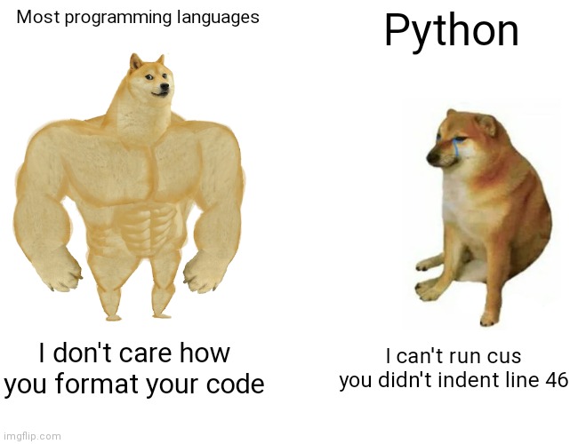 Python is such a weird language. | programming-memes, code-memes, python-memes, program-memes, language-memes, programming language-memes | ProgrammerHumor.io