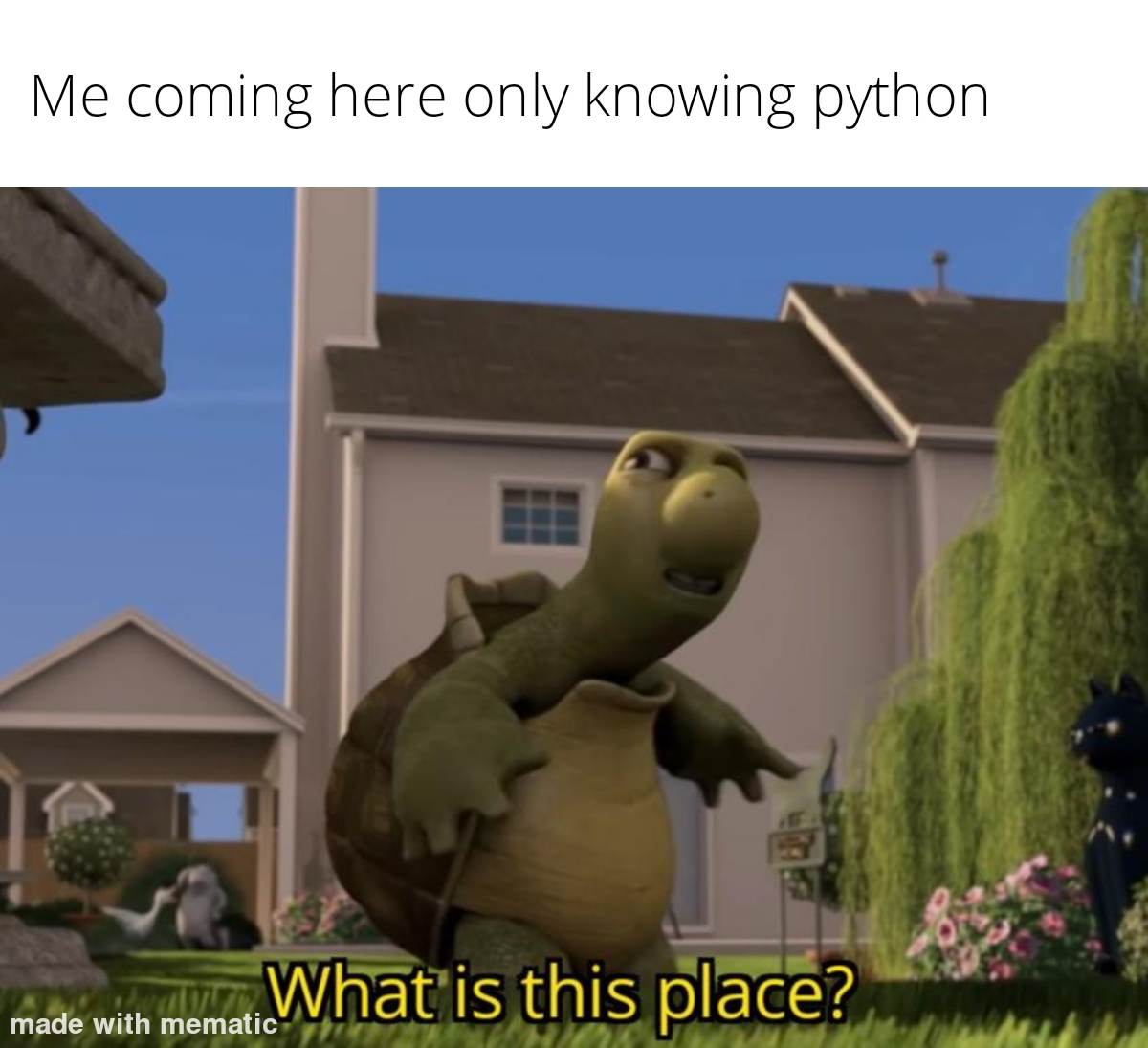 Me coming here only knowing python | python-memes | ProgrammerHumor.io