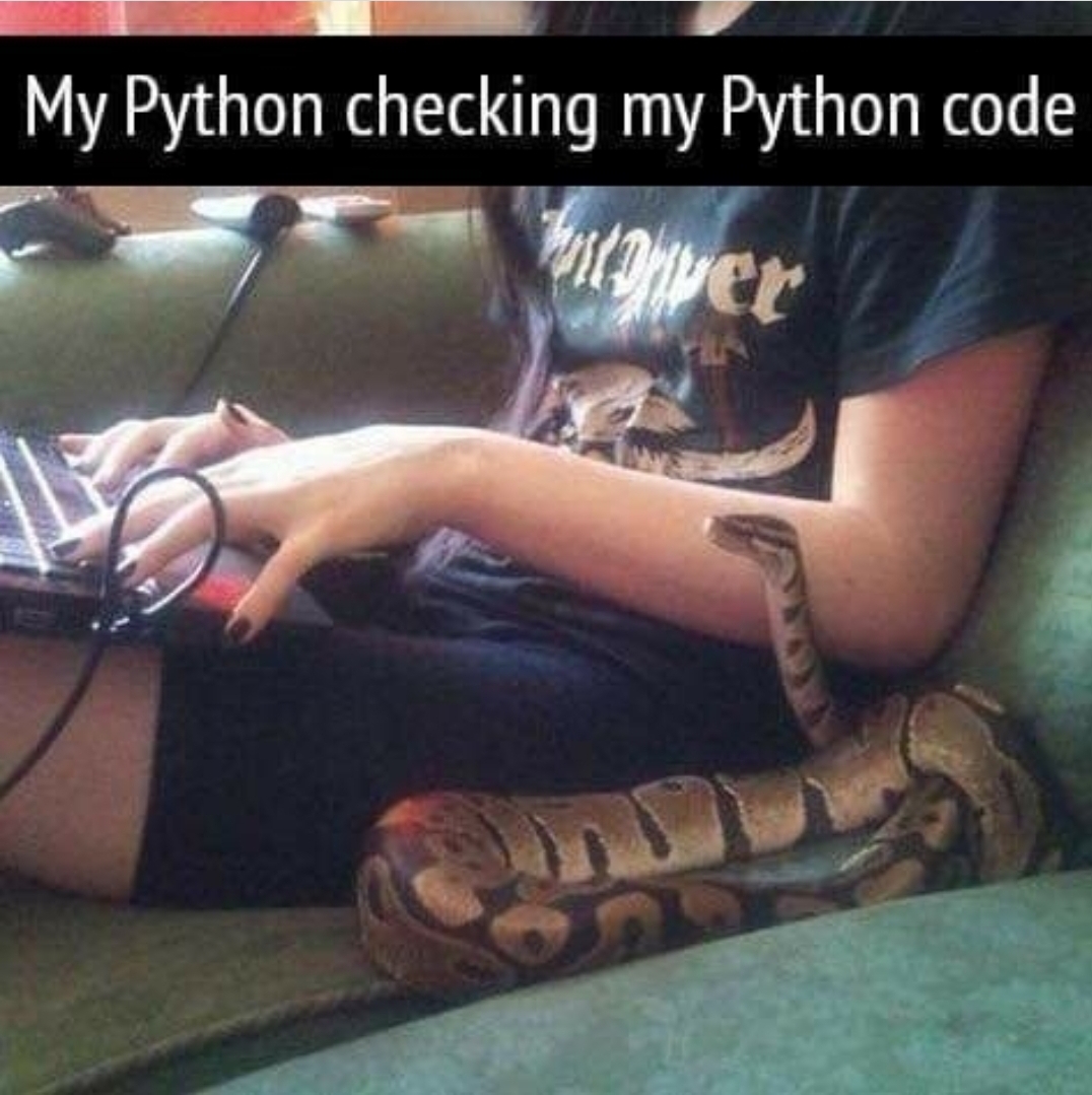 If you make a mistake, he bites you | code-memes, python-memes | ProgrammerHumor.io