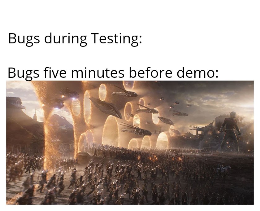 The infamous demo effect | bugs-memes, testing-memes, test-memes, bug-memes | ProgrammerHumor.io