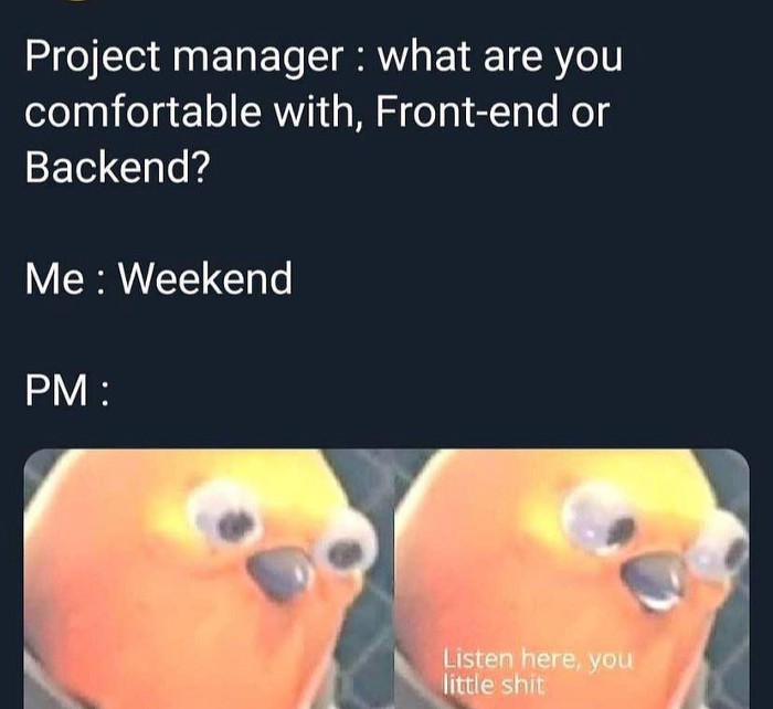 Weekends are the best | backend-memes, front-end-memes, manager-memes | ProgrammerHumor.io