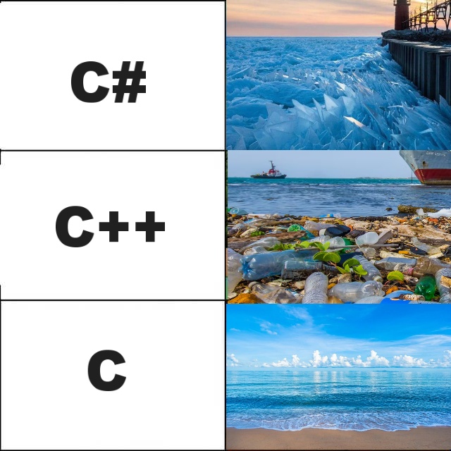 Since we're doing C now | c-memes | ProgrammerHumor.io