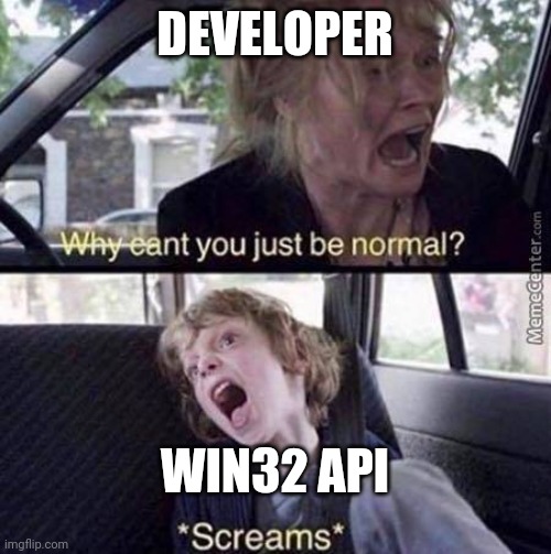 Had to write some stuff with the Windows API... | windows-memes, api-memes | ProgrammerHumor.io