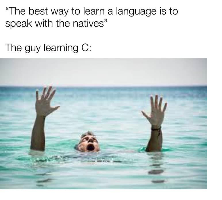 Wondering what should i do for c++ | c++-memes, language-memes | ProgrammerHumor.io