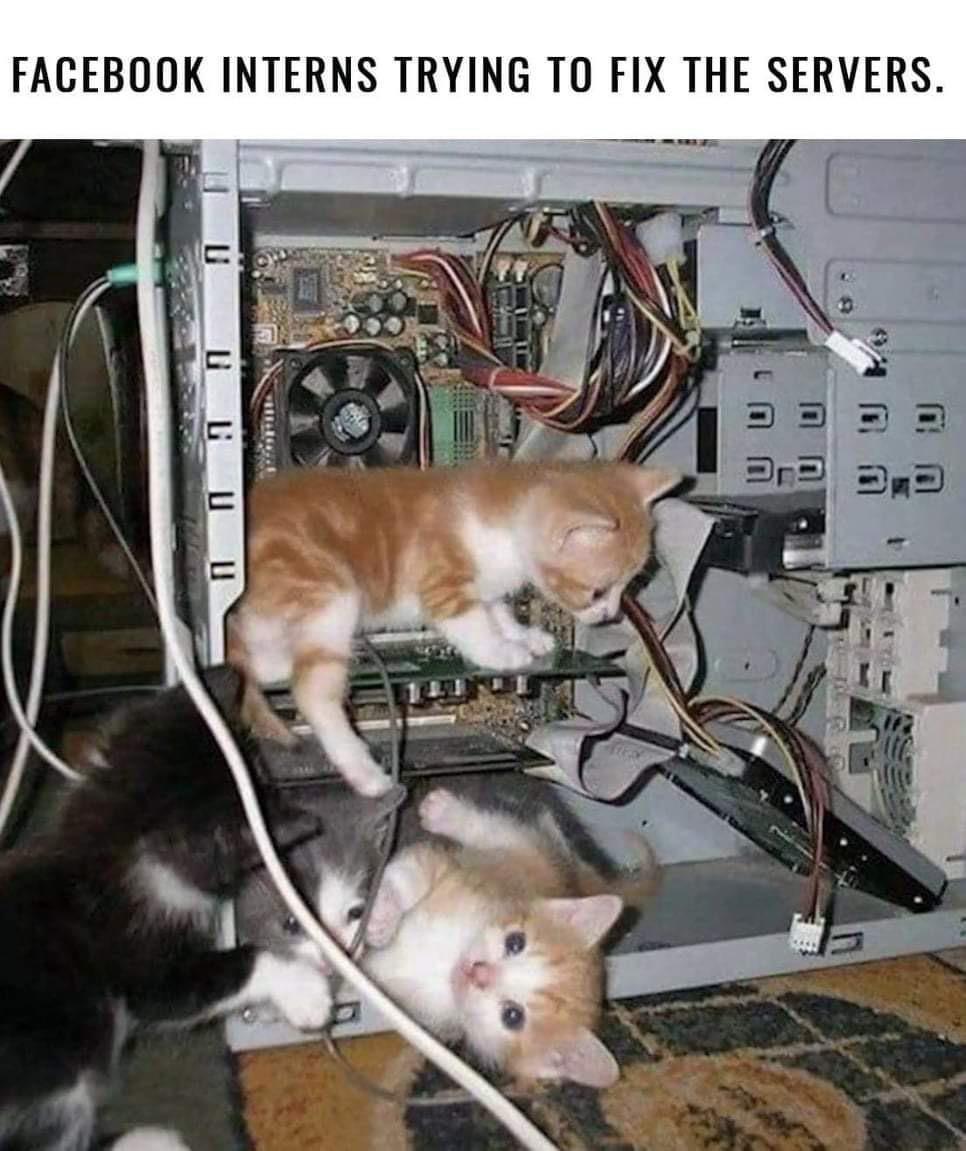 Meow support. | server-memes, try-memes, facebook-memes, fix-memes, servers-memes | ProgrammerHumor.io