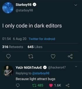 Because light attract bugs | code-memes, bugs-memes, bug-memes | ProgrammerHumor.io