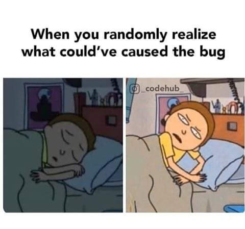 All time😩 | bug-memes, random-memes, ML-memes | ProgrammerHumor.io