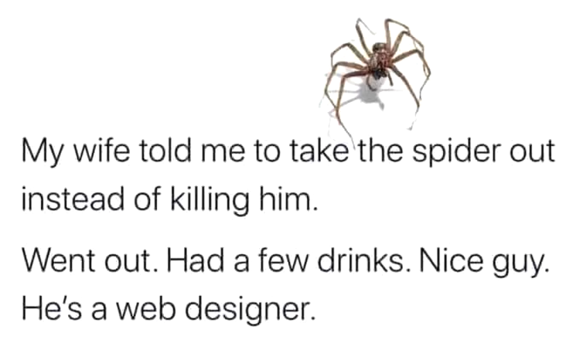 Apparently, you can find web designers in many different places. | web-memes, design-memes, designer-memes, ide-memes | ProgrammerHumor.io