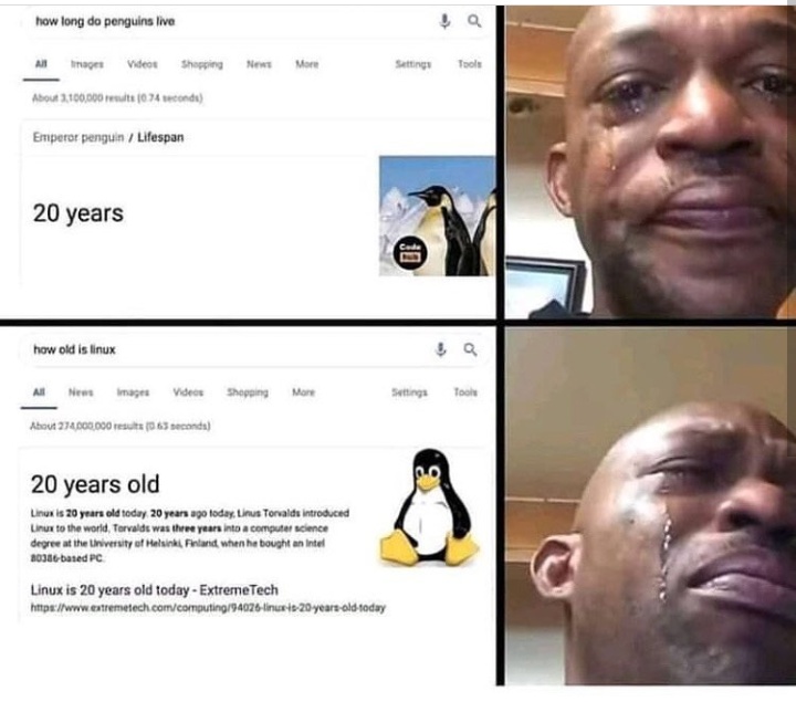 F | tech-memes, linux-memes, ux-memes | ProgrammerHumor.io