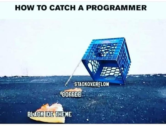 caught | programmer-memes, program-memes, catch-memes | ProgrammerHumor.io