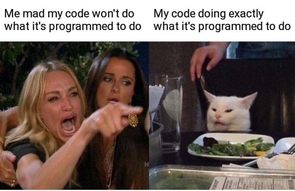 Plz just do what i want you to do | code-memes, program-memes | ProgrammerHumor.io