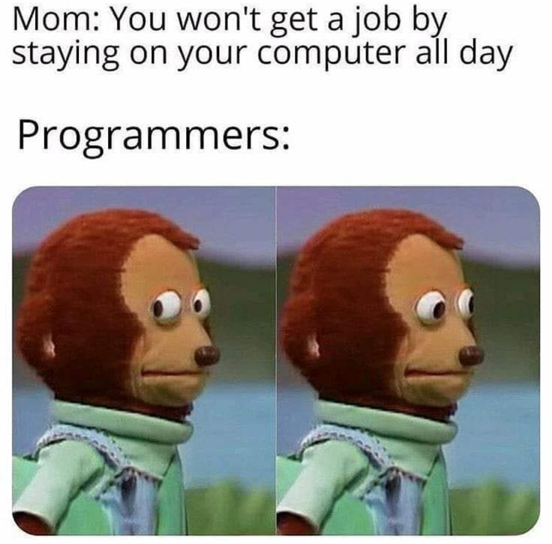 Programmers will know the importance of computer | programmer-memes, computer-memes, program-memes | ProgrammerHumor.io