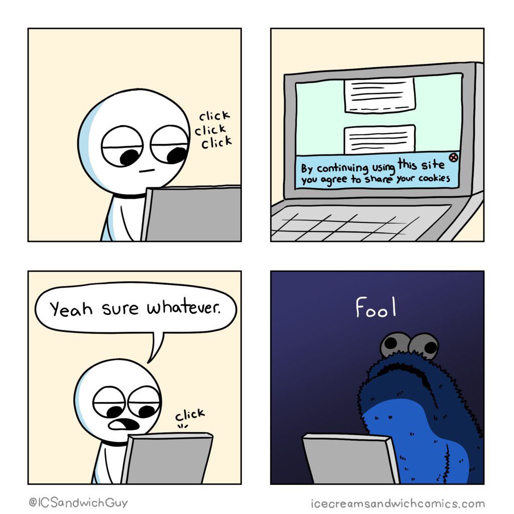 Fool[x-post from r/comics] | cs-memes, cookie-memes | ProgrammerHumor.io