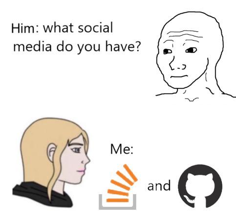 :,) | ProgrammerHumor.io