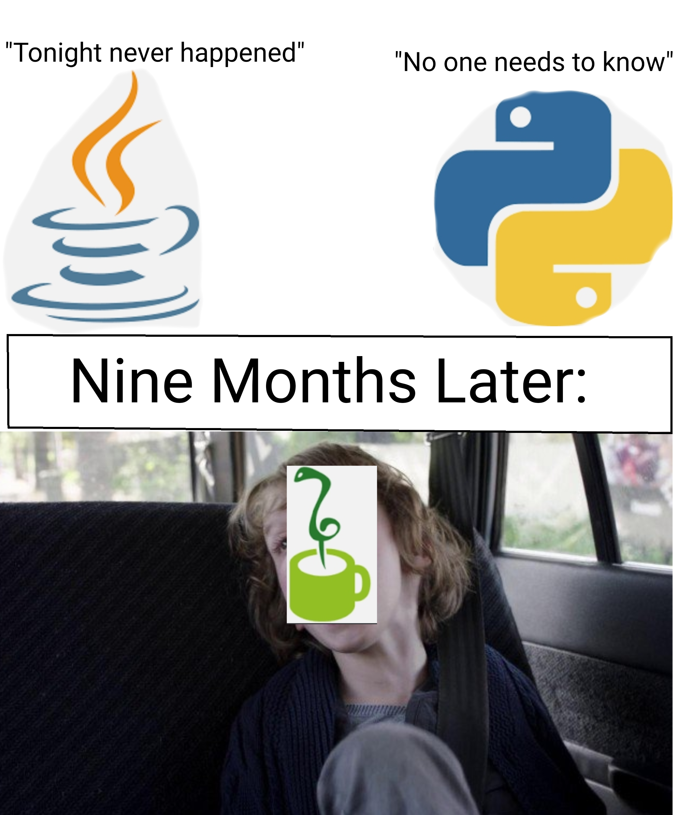 Guess what I found out existed today? (OC) | ProgrammerHumor.io