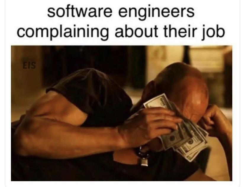 Crying all the way to the <bank /> | software-memes, engineer-memes, software engineer-memes | ProgrammerHumor.io