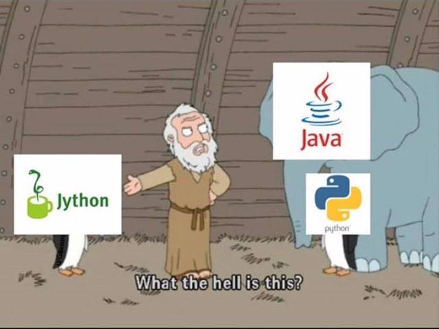 What the hell is this? | ProgrammerHumor.io