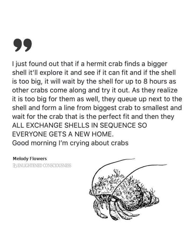 Crabsort | try-memes, shell-memes, IT-memes | ProgrammerHumor.io