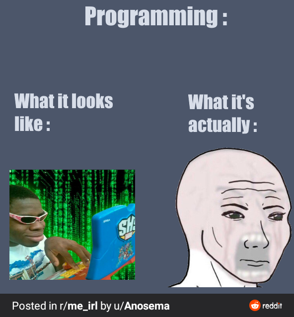 Many people told me to post it here | reddit-memes, IT-memes | ProgrammerHumor.io