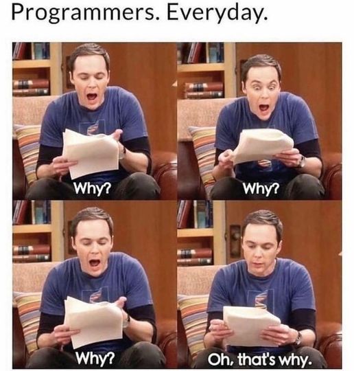 Literally me 5 mins ago | programmer-memes, program-memes | ProgrammerHumor.io