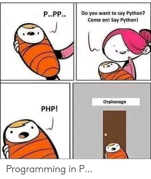 Orphanage | programming-memes, python-memes, program-memes | ProgrammerHumor.io