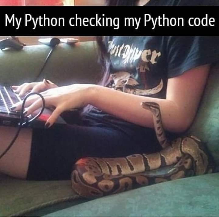 Its the module, moron!! | python-memes | ProgrammerHumor.io