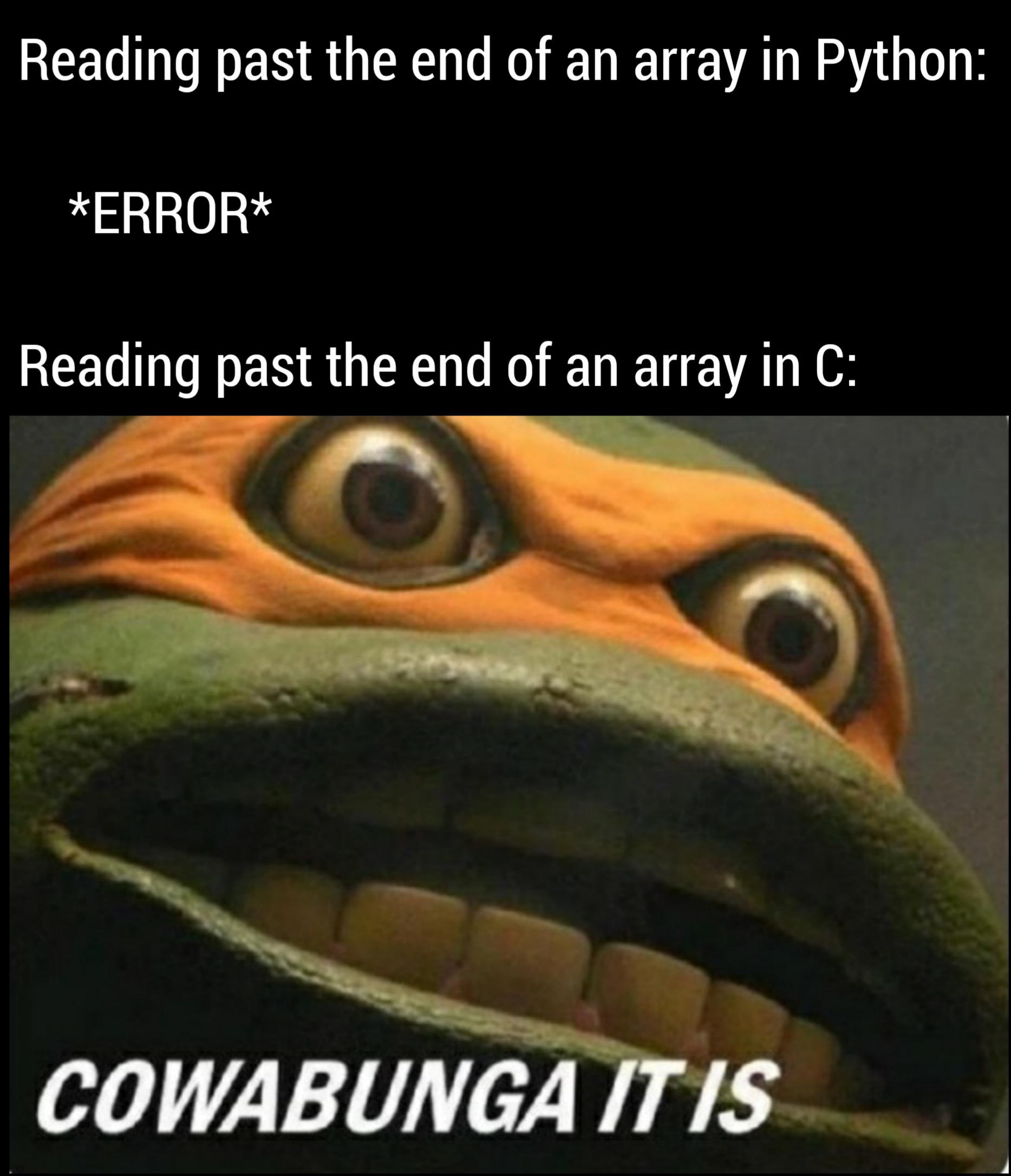 Cowabunga indeed. | python-memes, array-memes, error-memes | ProgrammerHumor.io