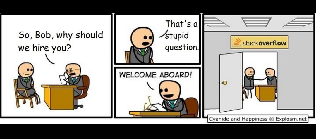 Stackoverflow job interview | stackoverflow-memes, stack-memes, overflow-memes, interview-memes | ProgrammerHumor.io