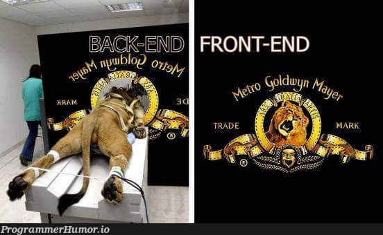 Front vs backend | backend-memes, front-end-memes, back-end-memes | ProgrammerHumor.io