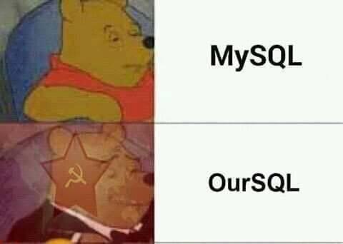 Us Programmers needses to sticks together | programmer-memes, program-memes, sql-memes | ProgrammerHumor.io