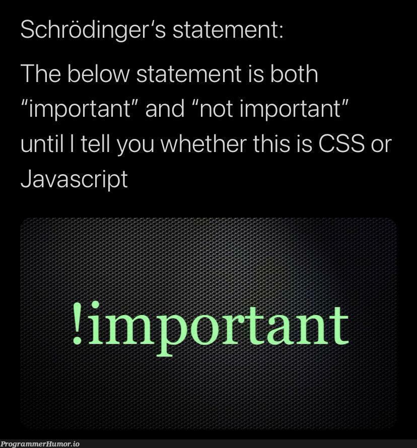 Schrodinger’s statement | css-memes, javascript-memes, java-memes, bot-memes, cs-memes | ProgrammerHumor.io