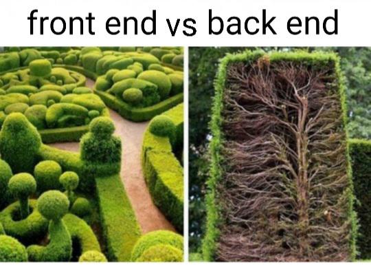 I prefer back end | front end-memes, back end-memes | ProgrammerHumor.io