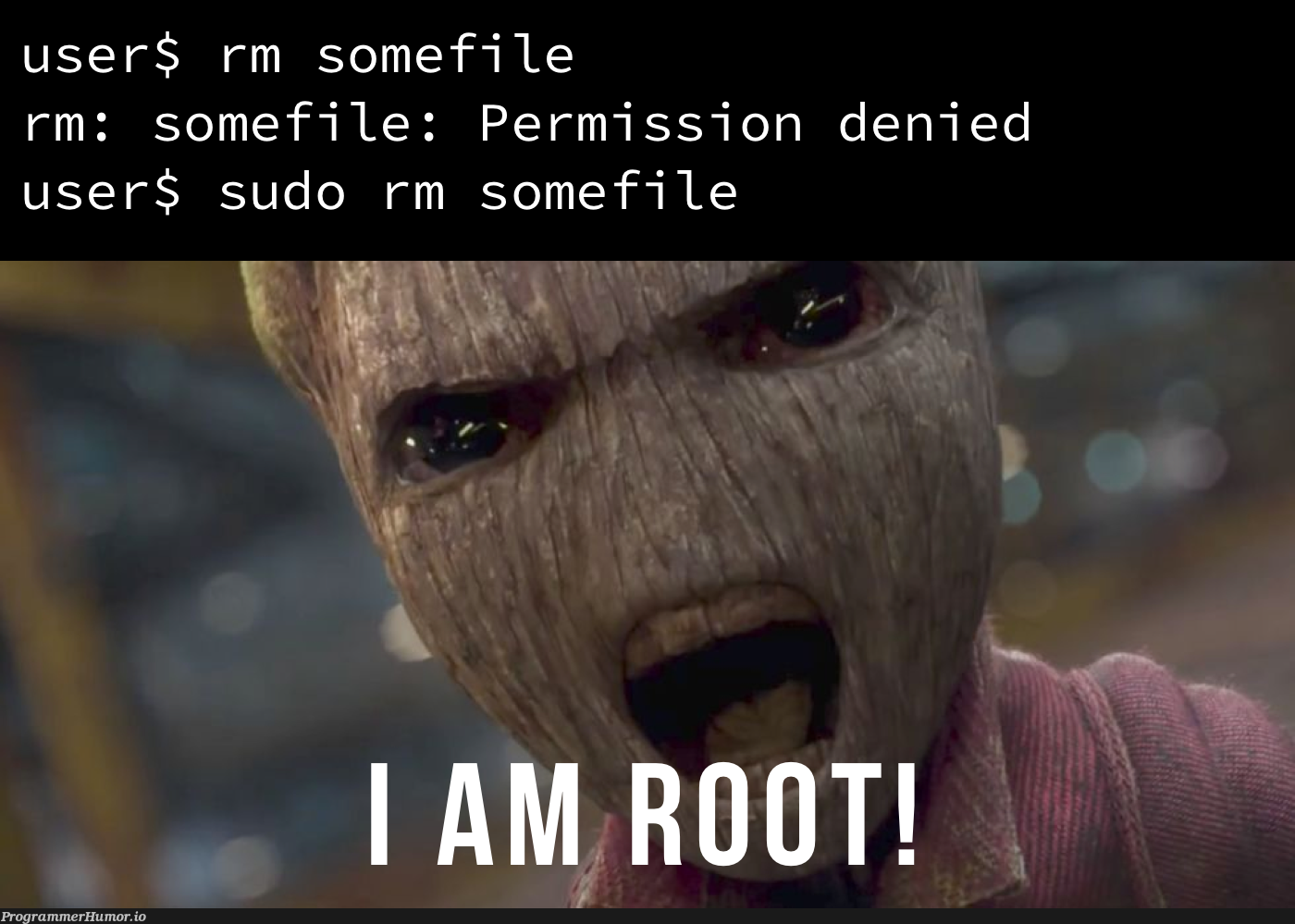 When you don't have the permission but really want to delete it. | sudo-memes | ProgrammerHumor.io